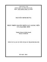 Tóm tắt: Phát triển nguồn nhân lực giảng viên của Đại học Huế