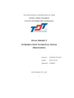 final project introduction to digital image processing