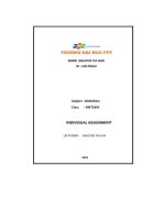 individual assignment