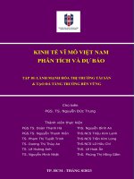 Kinh tế vĩ mô Việt Nam: Phân tích và dự báo (tập 10)
