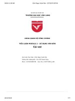 tiểu luận module 3 sử dụng văn bản