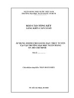 Báo cáo tổng kết Sáng kiến cấp cơ sở: Áp dụng Zoom cho giảng dạy trực tuyến tại Trường Đại học Ngân hàng Thành phố Hồ Chí Minh