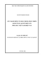 Sức mạnh mềm văn hóa trong phát triển kinh tế du lịch ở miền núi phía Bắc Việt Nam hiện nay
