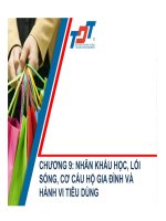 chương 9 nhân khẩu học lối sống cơ cấu hộ gia đình và hành vi tiêu dùng