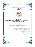 đề tài khảo sát và điều tra thị trường