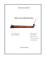 tiểu luận môn đàn bầu