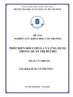 Đề tài nghiên cứu khoa học cấp trường: Phép biển đổi Copula và ứng dụng trong quản trị rủi ro