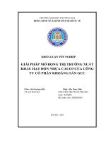 giải pháp mở rộng thị trường xuất khẩu hạt độn nhựa caco3 của công ty cổ phần khoáng sản gcc