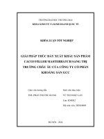 Giải pháp thúc đẩy xuất khẩu sản phẩm caco3 filler masterbatch sang thị trường châu âu của công ty cổ phần khoáng sản gcc