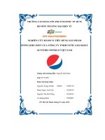 tiểu luận nghiên cứu hành vi tiêu dùng sản phẩmpepsi lime mint của công ty tnhh nước giải khátsuntory pepsico việt nam