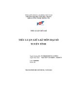 tiểu luận giữa kì môn đại số tuyến tính