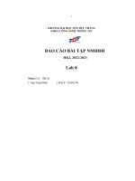 báo cáo bài tập nhập môn hệ điều hành lab 8