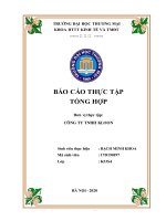 Báo cáo thực tập tổng hợp đơn vị thực tập công ty tnhh kloon