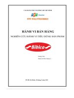 tiểu luận hành vi bán hàngnghiên cứu hành vi tiêu dùng sản phẩm bibica