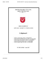 đồ án cuối kỳ summary international business