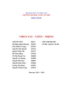 virus tay chân miệng