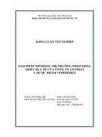 giải pháp mở rộng thị trường nhập khẩu thiết bị y tế của công ty cổ phần y dược phẩm vimedimex