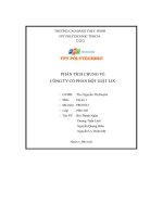 phân tích chung về công ty cổ phần bột giặt lix