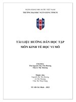 Tài liệu hướng dẫn học tập môn Kinh tế học vi mô