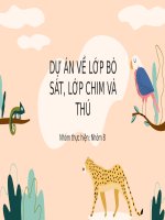 dự án về lớp bò sát lớp chim và thú