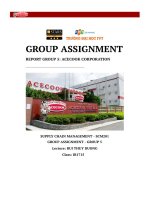 Group Assignment Report Group 5 Acecook Corporation.pdf