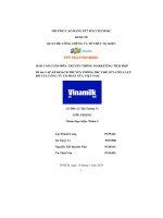 tiểu luận lập kế hoạch truyền thông imc cho sữa chua lựu đỏ của công ty cổ phần sữa việt nam