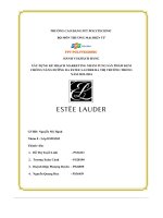 tiểu luận xây dựng kế hoạch marketing nhằm tung sản phẩm kemchống nắng dưỡng da estee lauder ra thị trường trongnăm 2023 2024
