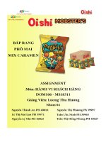 tiểu luận hành vi khách hàng công ty oishi company