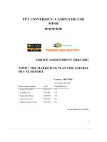 group assignment the marketing plan for asteria mui ne resort