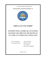 giải pháp nâng cao hiệu quả xuất khẩu mặt hàng giầy dép sang thị trường eu của công ty cổ phần giầy thăng long