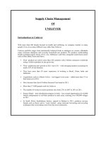 Supply Chain Management Of Unilever.pdf