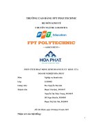 Phân Tích Hoạt Động Kinh Doanh Xuất Khẩu Của Doanh Nghiệp Hòa Phát.pdf