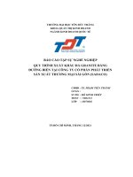 báo cáo tập sự nghề nghiệp quy trình xuất khẩu đá granite bằng đường biển tại công ty cổ phần phát triển sản xuất thương mại sài gòn sadaco