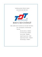 báo cáo cuối kỳ chiến lược và hành vi các tổ chức thể thao