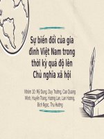 sự biến đổi của gia đình việt nam trong thời kỳ quá độ lên chủ nghĩa xã hội