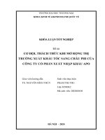 cơ hội thách thức khi mở rộng thị trường xuất khẩu tóc sang châu phi của công ty cổ phần xuất nhập khẩu apo