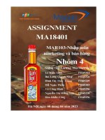 tiểu luận tổng quan về tập đoàn masan