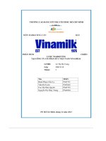 tiểu luận phân tích chiếnlược marketingtại công ty cổ phần sữa việt nam vinamilk