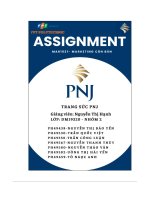 tiểu luận tổng quan về doanh nghiệp công ty tnhh mtv chế tác và kinh doanh trang sức pnj