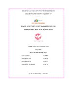 tiểu luận hoạch định chiến lược marketing số cho thương hiệu hoa tươi hồ chí minh