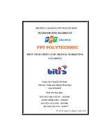 tiểu luận phân tích chiến lược digital marketingcủa bitis