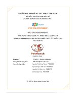 tiểu luận xây dựng chiến lược và triển khai kế hoạch mobile marketing cho thương hiệu thú cưng pet munch