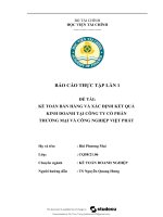 kế toán bán hàng và xác định kết quả kinh doanh tại công ty cổ phần thương mại và công nghiệp việt phát
