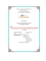 tiểu luận tìm hiểu thực trạng và xây dựng kế hoạch digital marketingcho sản phẩm sữa chua của công ty cổ phần sữa việt namvinamilk