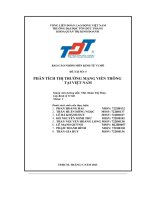 báo cáo nhóm môn kinh tế vi mô phân tích thị trường mạng viễn thông tại việt nam