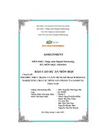 tiểu luận tìm hiểu thực trạng và xây dựng kế hoạch digitalmarketing cho các dòng sản phẩm của samsungviệt nam