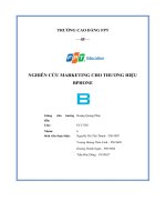 tiểu luận nghiên cứu marketing cho thương hiệu bphone