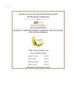 tiểu luận báo cáo assigment xây dựng và triển khai mobile marketing cho thương hiệungũ cốc health grain