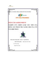 tiểu luận nghiên cứu chiến lược xúc tiến củadòng sản phẩm trà xanh 0 độ của ctytân hiệp phát