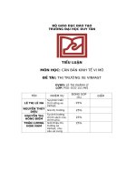 tiểu luận đề tài thị trường xe vinfast